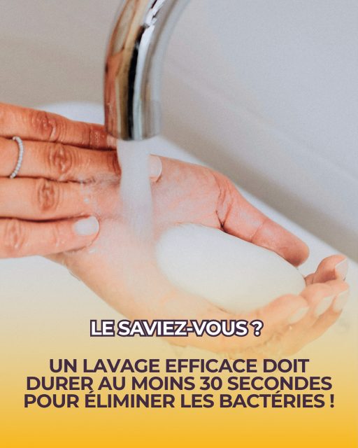 Un geste simple pour une protection maximale. 🧼

À l’occasion de la Journée internationale de l’hygiène des mains, nous tenions à rappeler que la propreté des mains est le premier rempart contre les infections, tout particulièrement auprès des personnes fragiles. 👵🏾

Chez APM31, l’hygiène des mains est une règle d’or pour nos auxiliaires de vie à chaque étape de leur intervention :
- Avant et après chaque soin : Pour garantir une sécurité sanitaire irréprochable lors de l’aide à la toilette ou à l’habillage. 🙌
- En cuisine : Une désinfection systématique avant de préparer les repas ou de manipuler la vaisselle. 🍽️
- Au contact de l’environnement : Après avoir touché des surfaces communes ou des appareillages spécifiques. 🏠

Ce petit rituel, pratiqué avec soin et régularité, est une preuve de respect et de protection envers nos bénéficiaires de #Blagnac. Parce que prendre soin, c’est aussi veiller à la santé de chacun par des gestes du quotidien. 😌

#hygiènedesmains #prévention #santé #aideadomicile